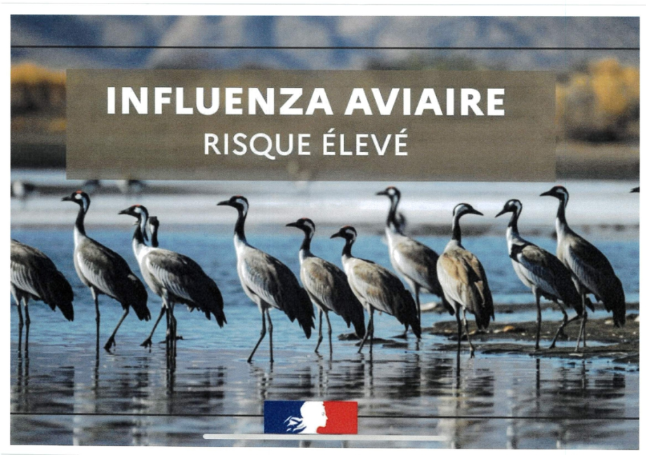 DATE DE PAIEMENT de votre FACTURE EAU